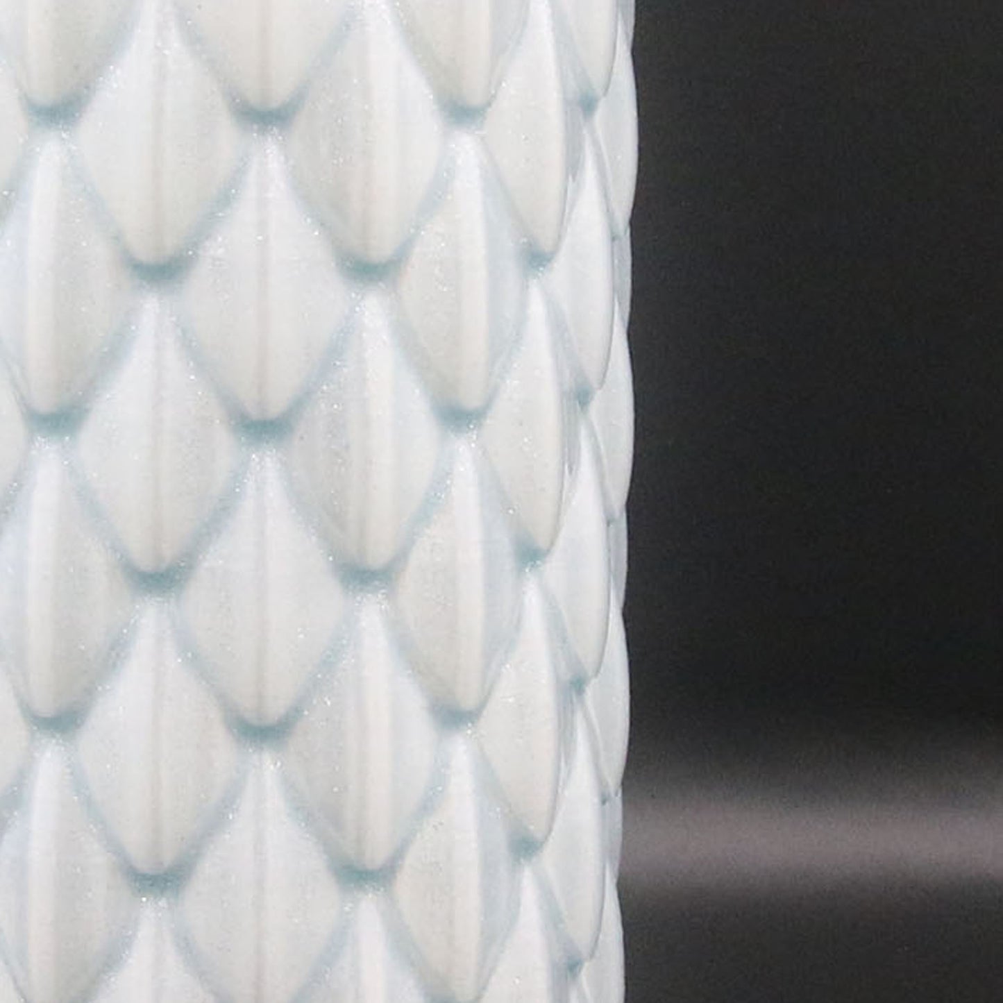 Dragon Scale Water Bottle 18oz